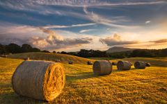 Hay Maker  Winery Image