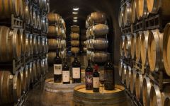 Alexander Valley Vineyards AVV Caves Winery Image