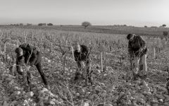 Domaine Saint Prefert Winery Image