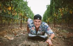 Scattered Peaks Derek in the Vineyard Winery Image