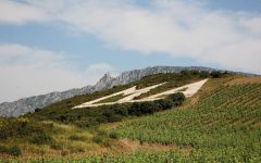 Mas Amiel Winery Image