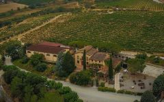 Castellroig  Winery Image