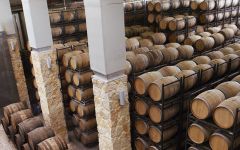 Barkan Barkan Barrels   Winery Image