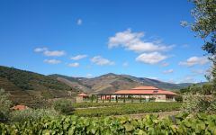 Croft Visitors Centre Patio Winery Image