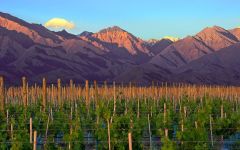 Recuerdo Winery Image