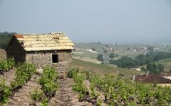 Chateau du Chatelard Winery Image