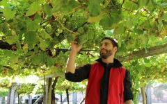 Granbazan The winemaker at Granbazan Winery Image