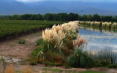 Finca de los Padrillos Padrillos Vineyards & Reservoir Winery Image