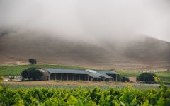 Byron Byron Winery Winery Image