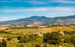 ColleMassari Winery Image