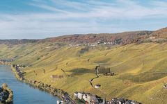 Loosen Bros. Bernkastel-Mosel Winery Image