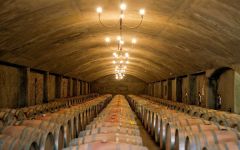 Domaine Bousquet Winery Image