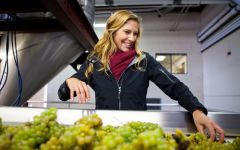 Ferrari-Carano Sarah, executive winemaker Winery Image