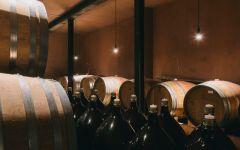 Mas Martinet Mas Martinet Wine Barrels Winery Image