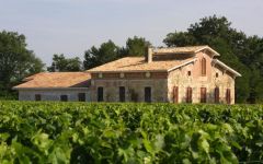 Chateau Langlet Château Langlet Winery Image