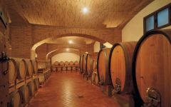 Patrizi Winery Image