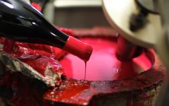 Domaine Lapierre Winery Image