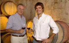 Carlos Basso Winery Image