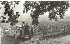 Beaulieu Vineyard 