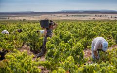 Bodegas y Vinedos Ilurce Winery Image