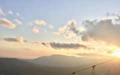 Agathe Bursin Vineyard & Horse at Sunset Winery Image