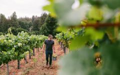 Ceritas Winery Image