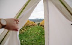Clover Hill Winery Image