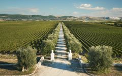Tormaresca Winery Image