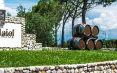 Ca Maiol Winery Image