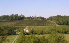 Chateau de Parenchere Chateau de Parenchere and Vineyards Winery Image