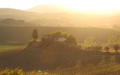 Fattoria del Cerro  Winery Image