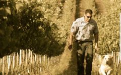 Donati Family Vineyards Matt Donati in the Vineyard Winery Image