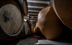 Clos i Terrasses Laurel Cellar: Older Barrels and Amporae Winery Image