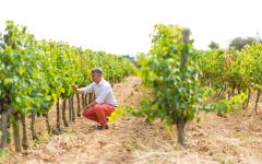 Chateau d'Angles Vianney Fabre in the Vineyard Winery Image