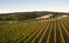 J. Christopher Harvest Time Winery Image