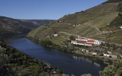 Quinta de la Rosa Located alongide the Douro River Winery Image