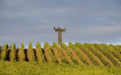 Il Molino di Grace Winery Image