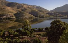 Quinta do Vesuvio Winery Image