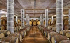 Cantine Dei Winery Image