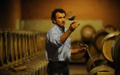 Travaglini Massimo Collauto, Winemaker Winery Image