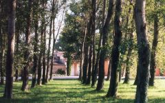 La Vieille Ferme The Winery Through the Trees Winery Image