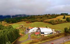 A to Z Aerial View of A to Z Winery Image