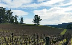 Clover Hill Winery Image