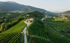 Masi Winery Image