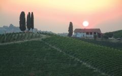 Michele Chiarlo Chiarlo La Court at Sunset Winery Image