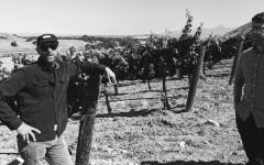 Lieu Dit Eric Railsback & Justin Willett Winery Image