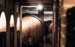 Giacomo Borgogno & Figli Winery Image