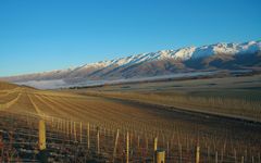 Quartz Reef Bendigo Vineyard Winery Image