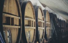 Domaines Ott Domaines Ott Casks in Cellars Winery Image