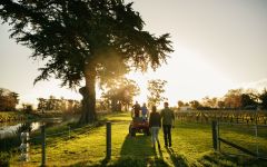 Zephyr Glover Family Winery Image